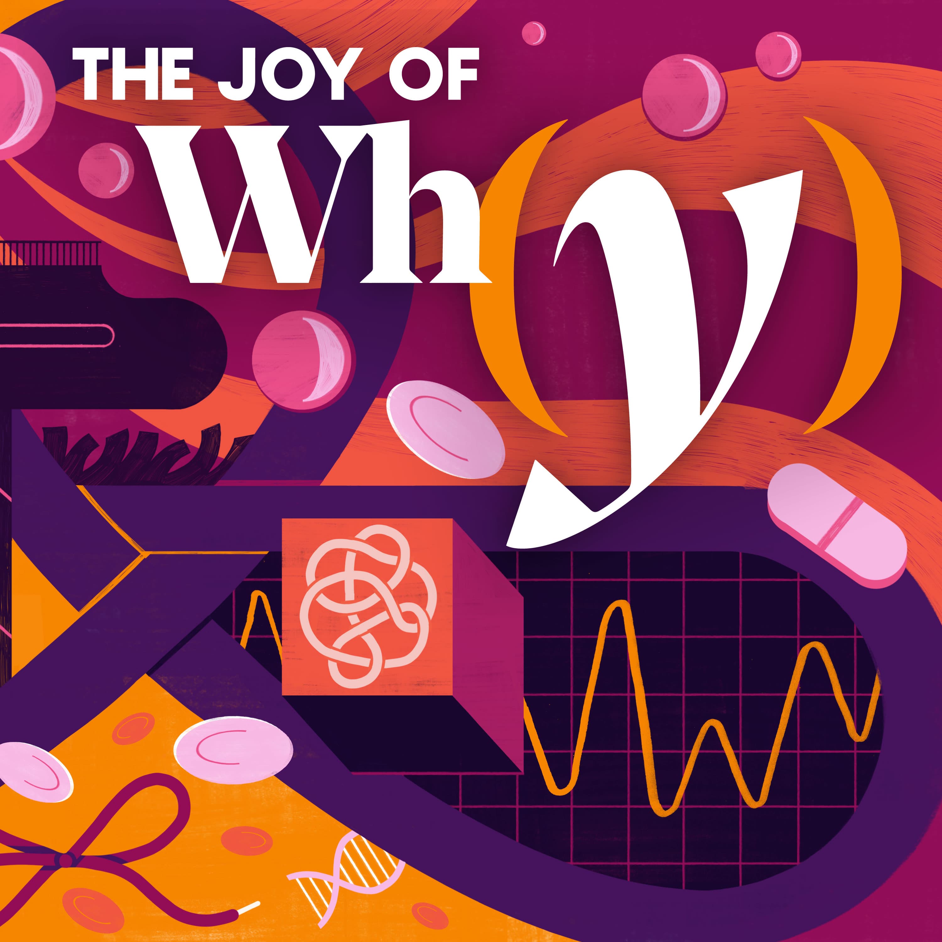 The Joy of Why podcast cover art