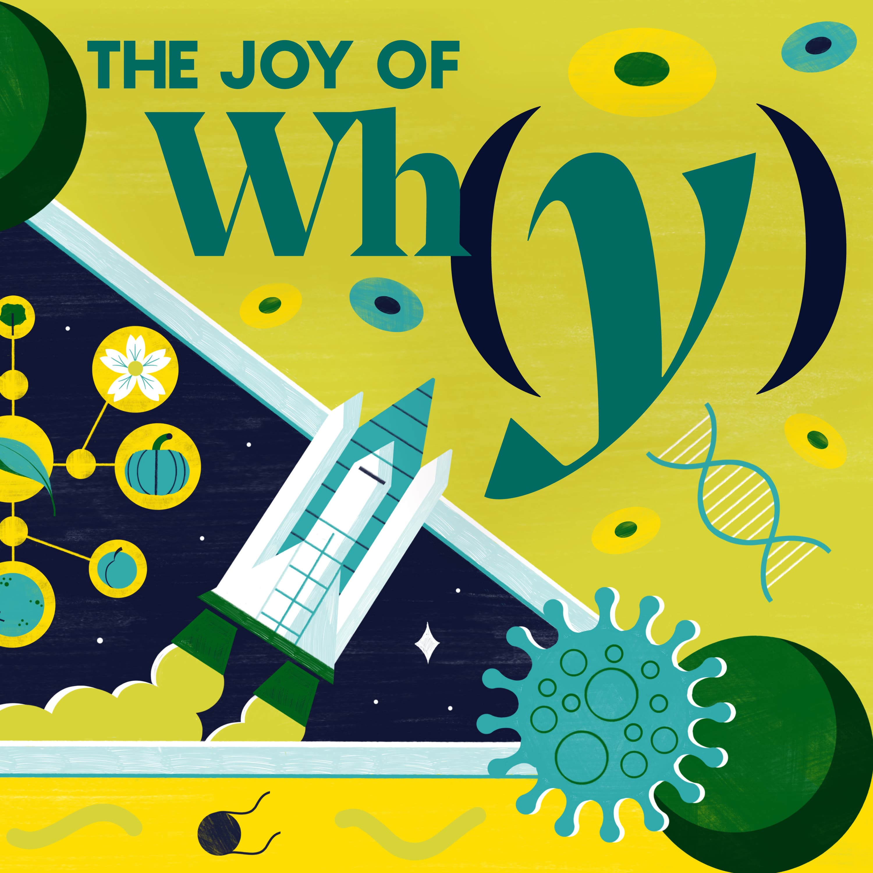 The Joy of Why podcast cover art