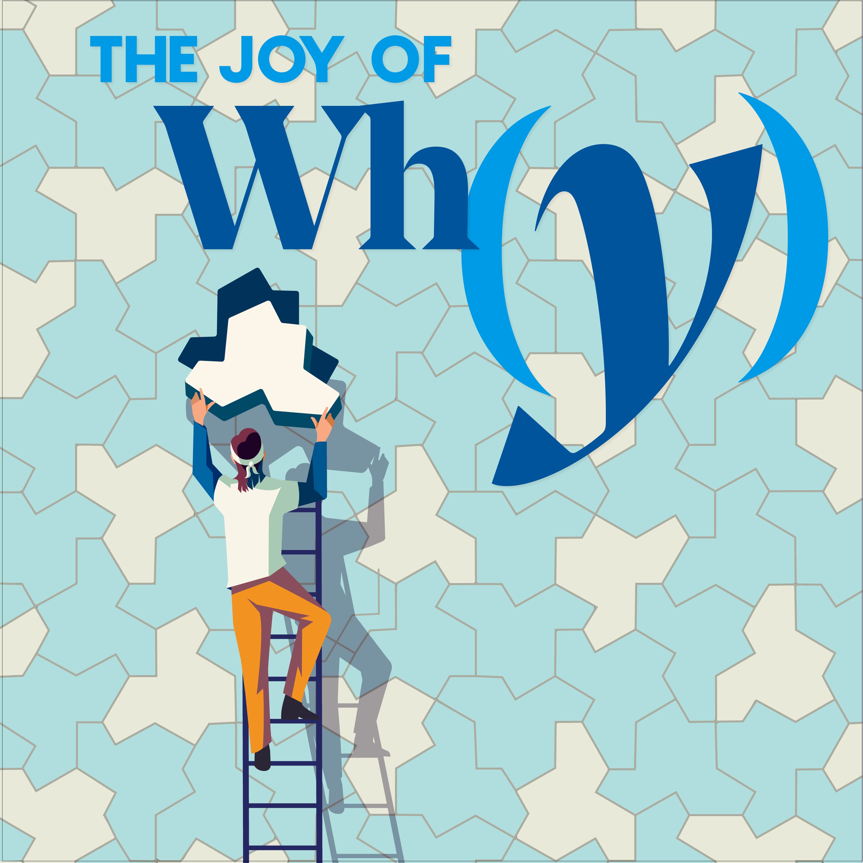 The Joy of Why podcast cover art
