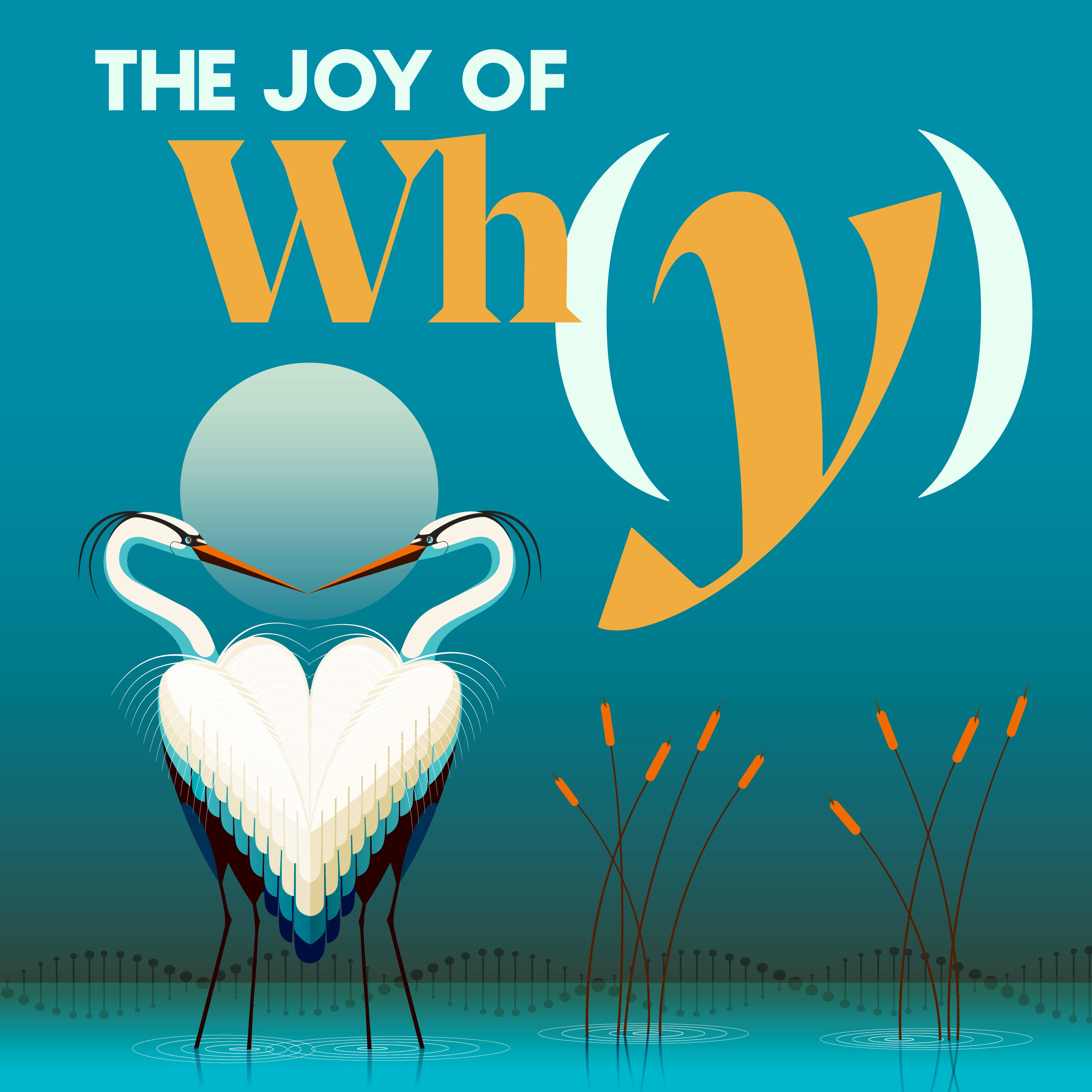 The Joy of Why podcast cover art