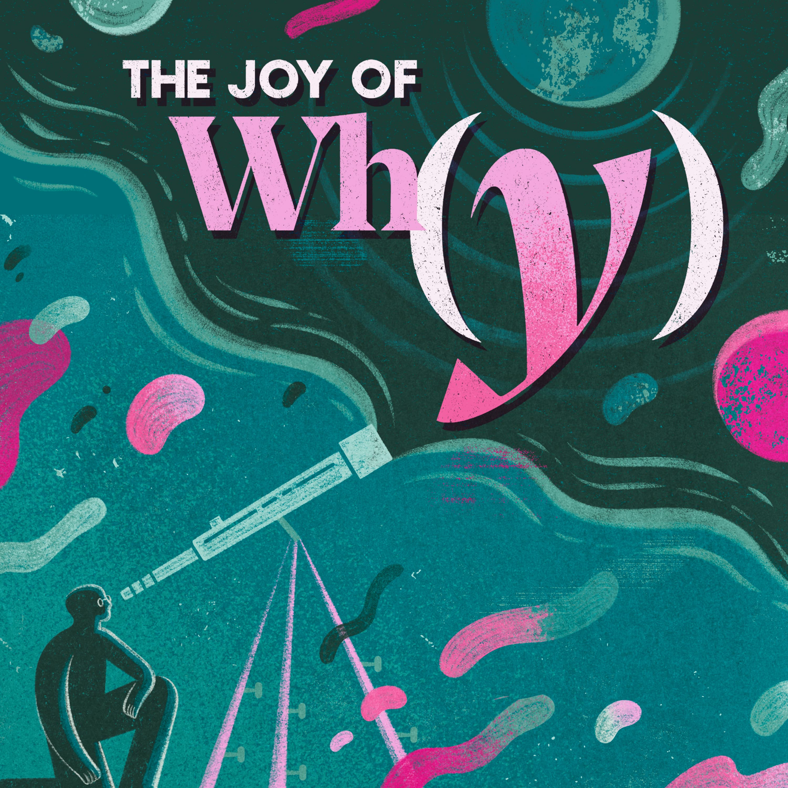 The Joy of Why podcast cover art