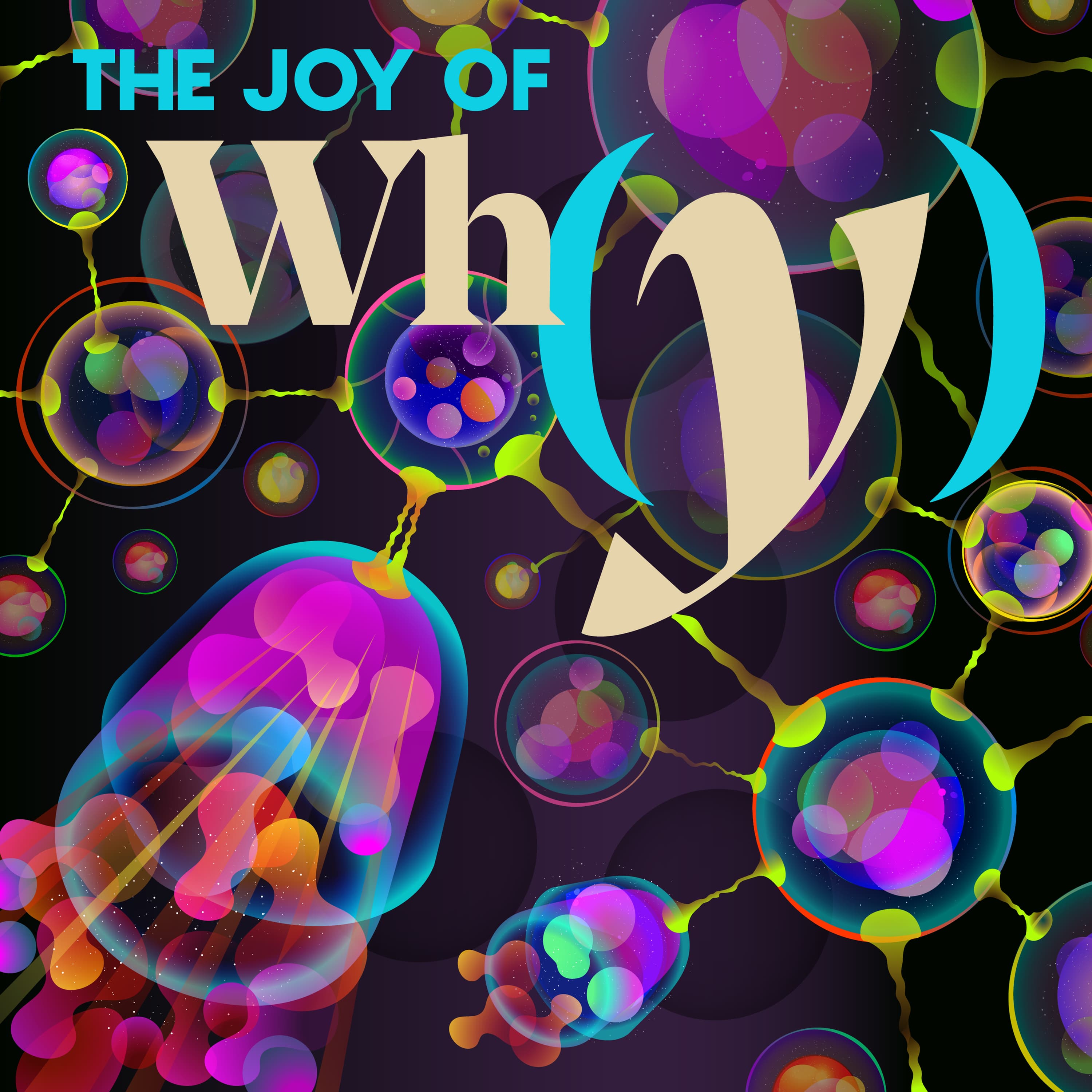 The Joy of Why podcast cover art