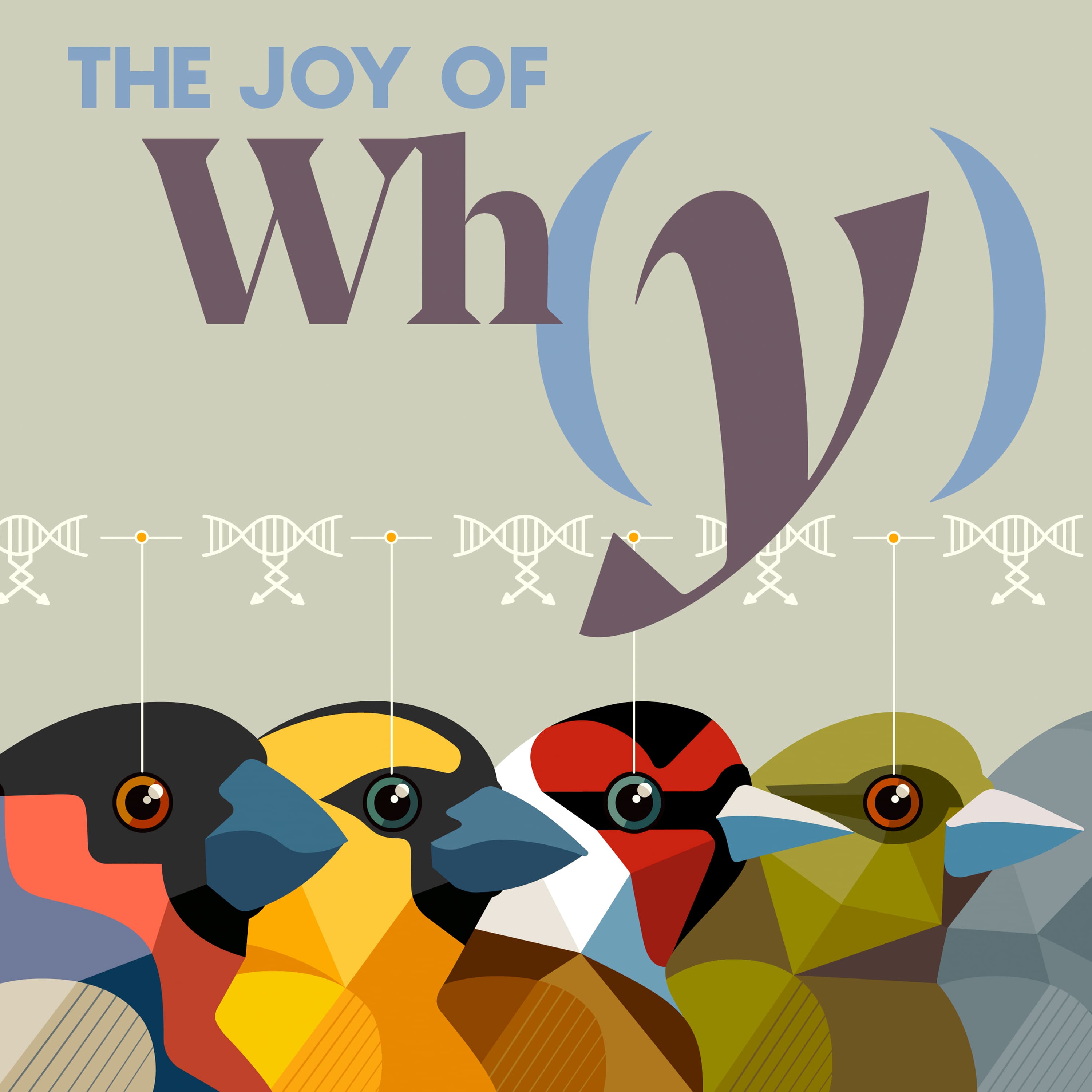 The Joy of Why podcast cover art