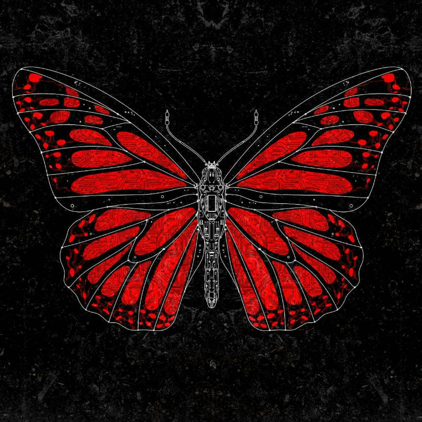 Darknet Diaries podcast cover art