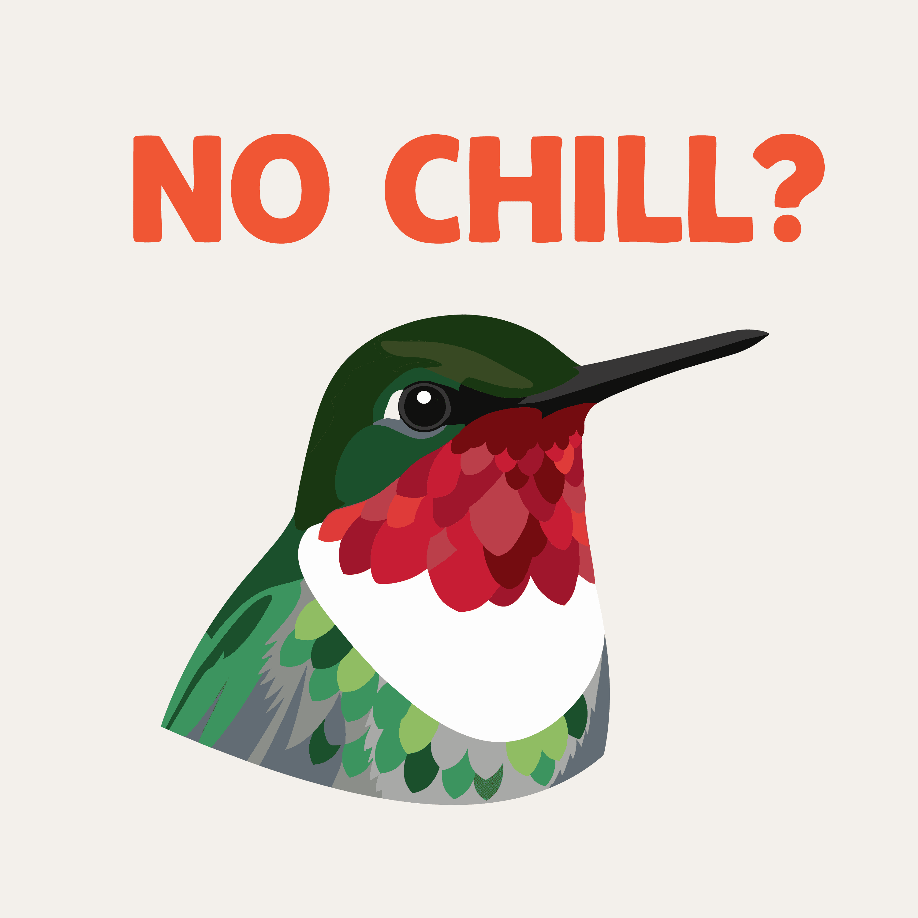 Okay, But... Birds podcast cover art