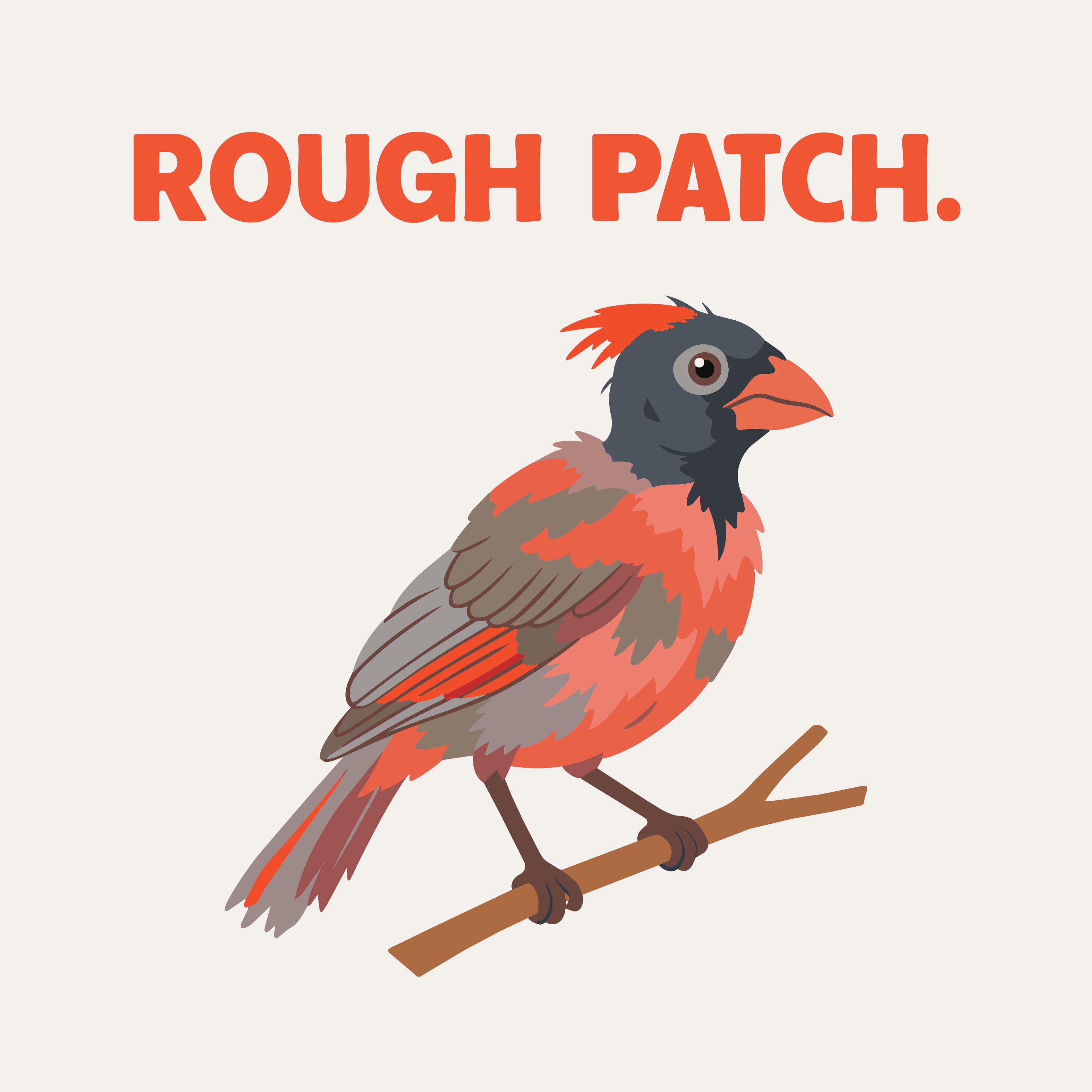 Okay, But... Birds podcast cover art