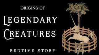 Lights Out Library: Sleep Documentaries podcast cover art