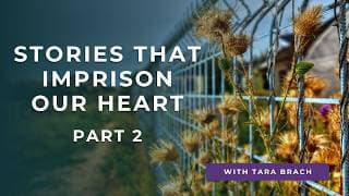 Tara Brach podcast cover art