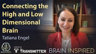 Brain Inspired podcast cover art