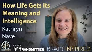 Brain Inspired podcast cover art