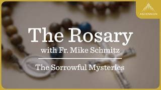 The Fr. Mike Schmitz Catholic Podcast cover art