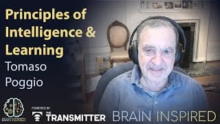 Brain Inspired podcast cover art