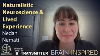 Brain Inspired podcast cover art