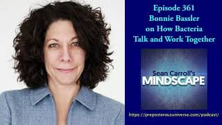 Sean Carroll's Mindscape: Science, Society, Philosophy, Culture, Arts, and Ideas podcast cover art