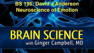 Brain Science with Ginger Campbell, MD: Neuroscience for Everyone podcast cover art