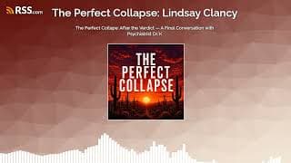 The Perfect Collapse podcast cover art