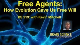 Brain Science with Ginger Campbell, MD: Neuroscience for Everyone podcast cover art