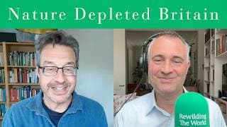 Rewilding the World with Ben Goldsmith podcast cover art