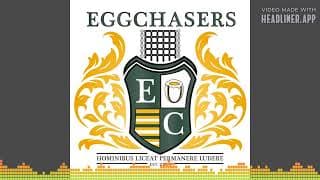 The EggChasers Rugby Podcast cover art