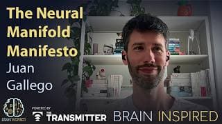Brain Inspired podcast cover art