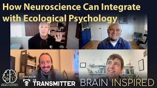 Brain Inspired podcast cover art