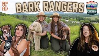 National Park After Dark podcast cover art
