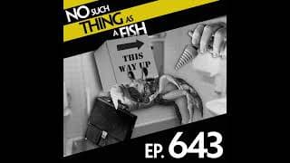 No Such Thing As A Fish podcast cover art