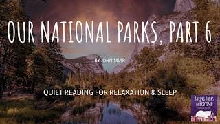 Boring Books for Bedtime Readings to Help You Sleep podcast cover art