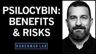Huberman Lab podcast cover art