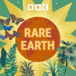 Rare Earth