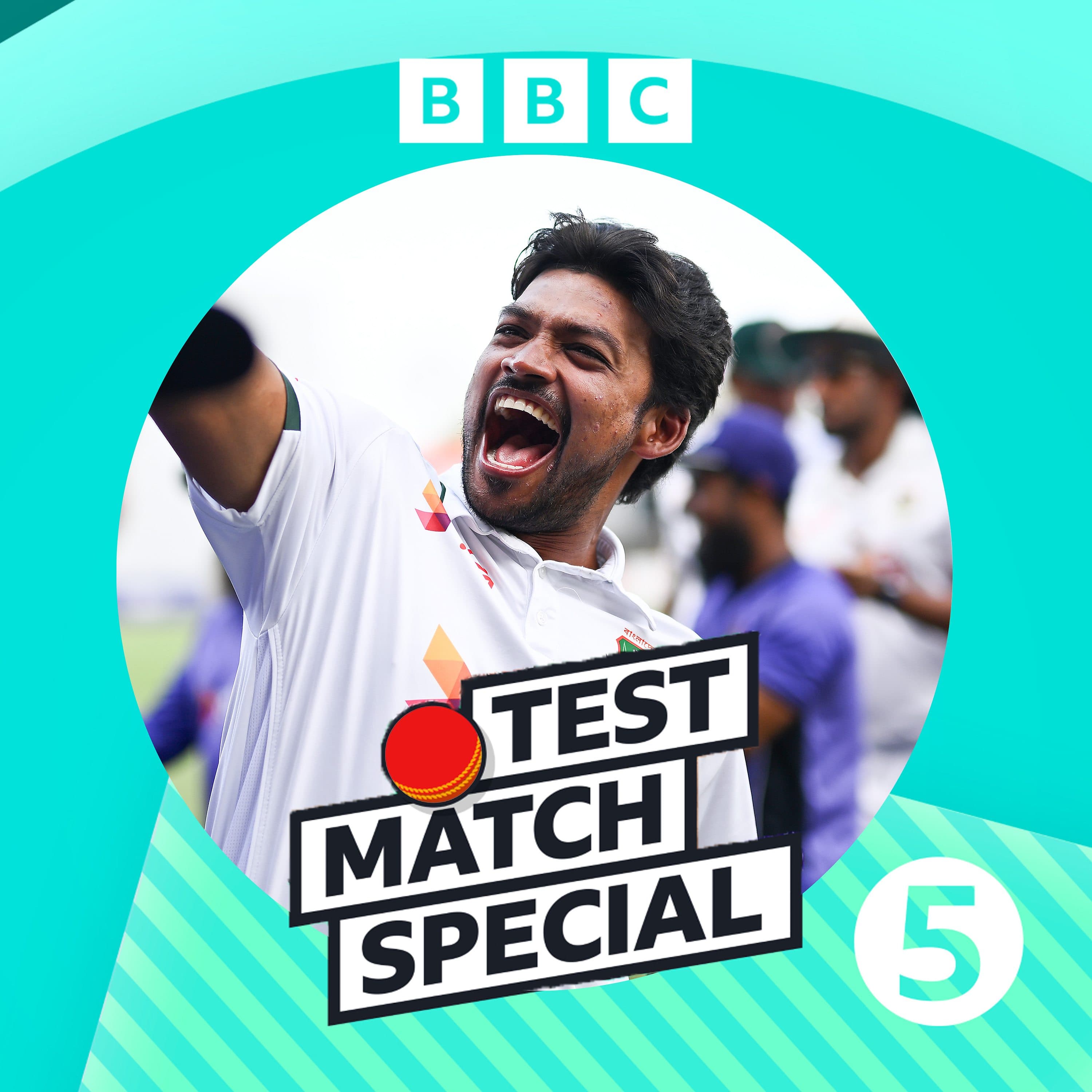 Test Match Special podcast cover art