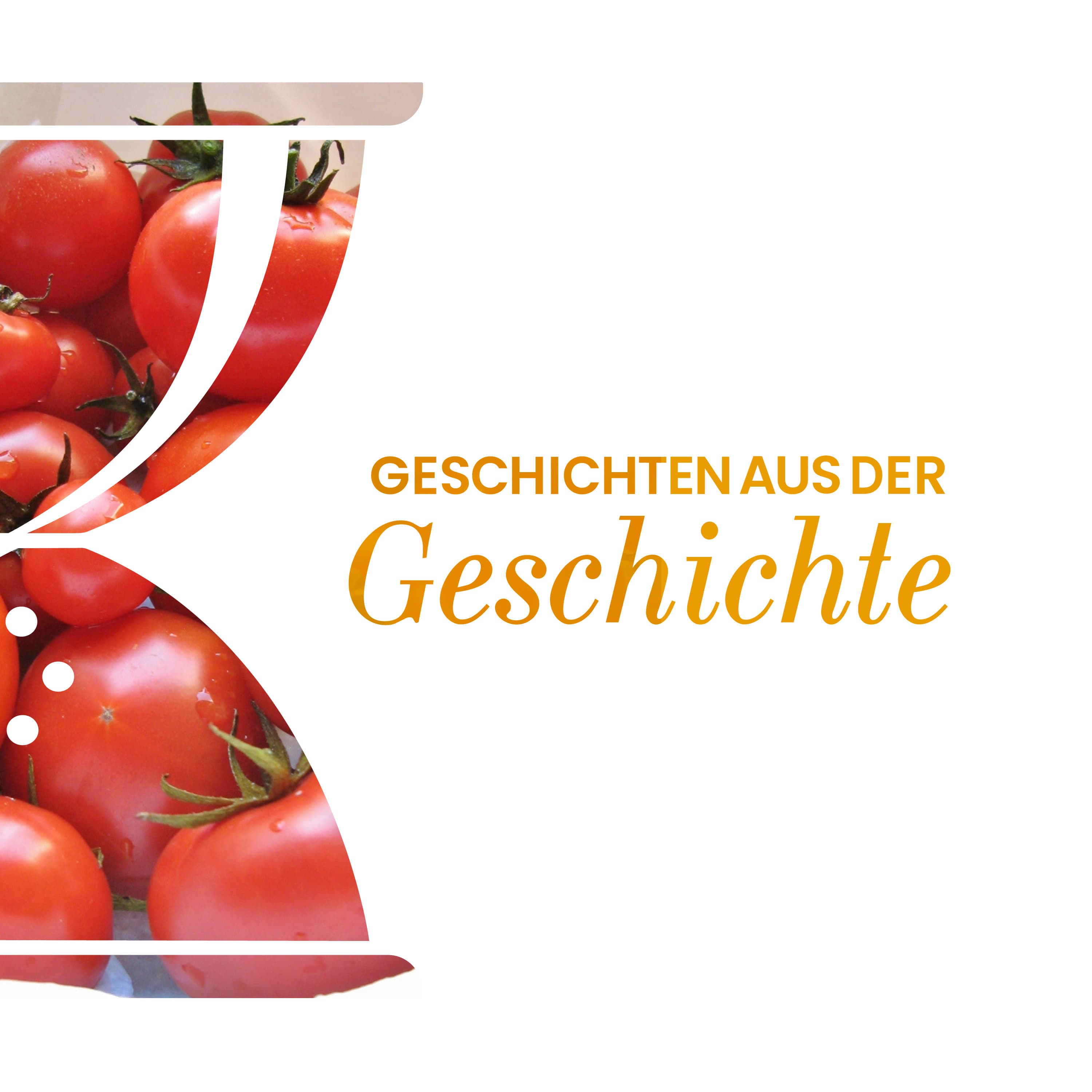Geschichten aus der Geschichte podcast cover art