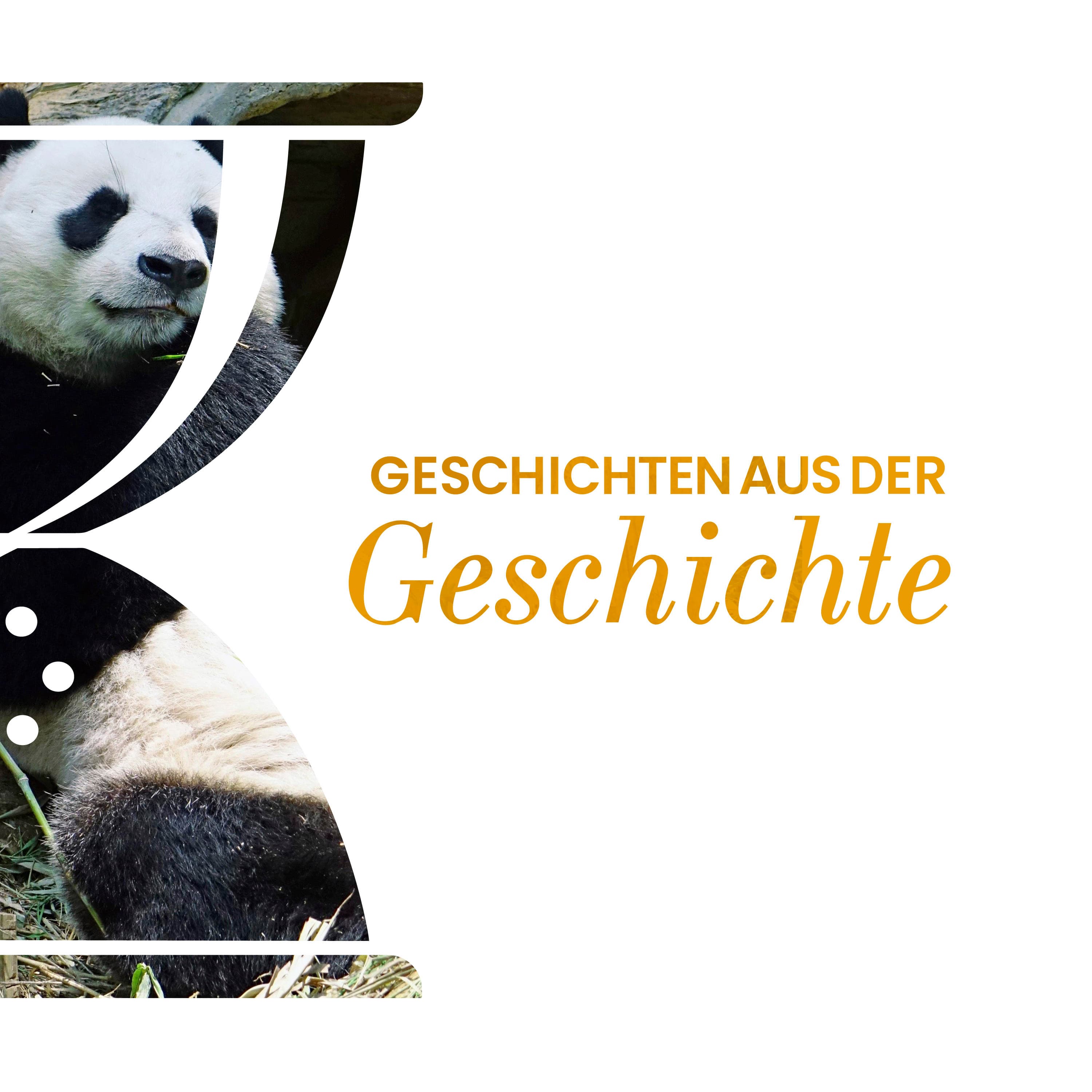 Geschichten aus der Geschichte podcast cover art