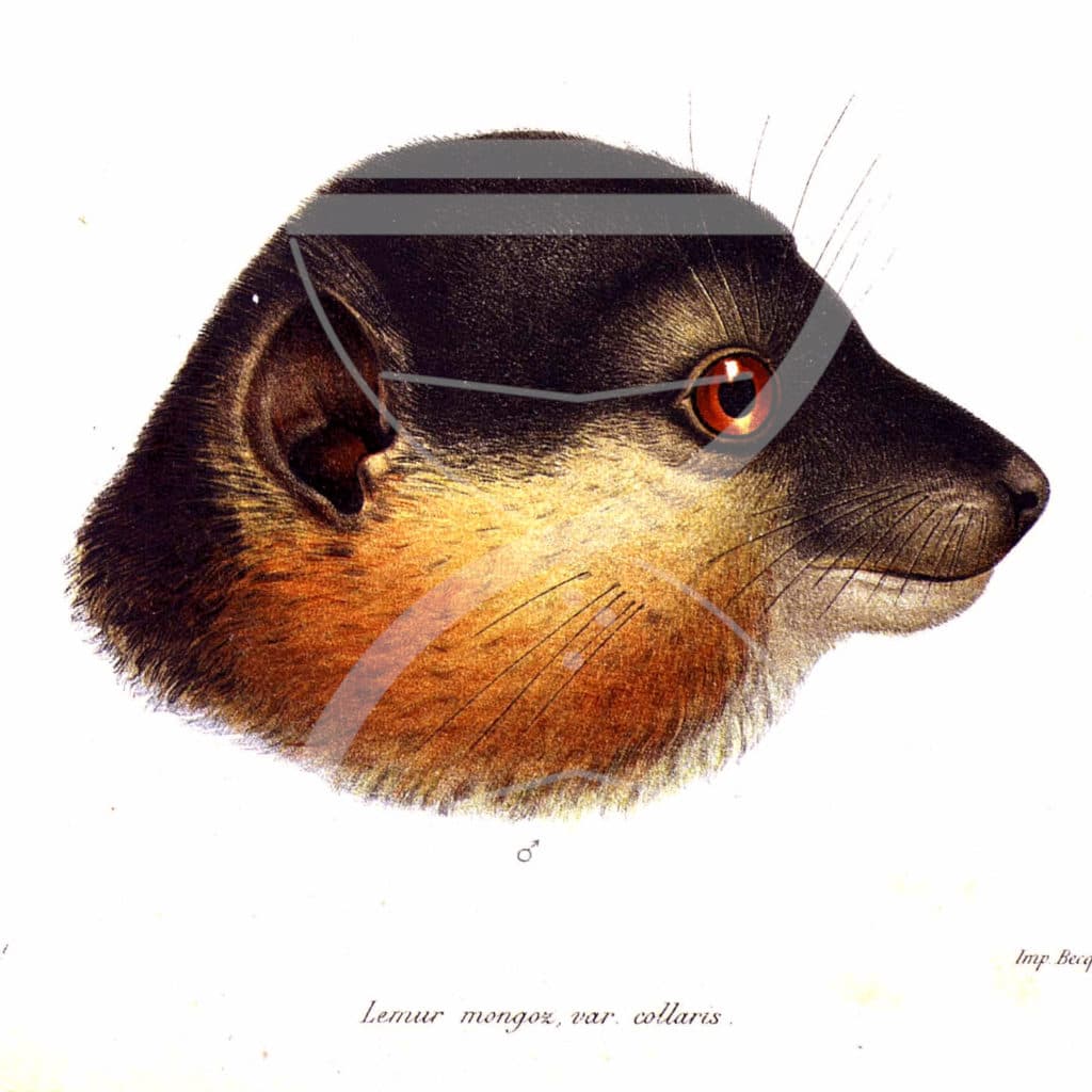 Geschichten aus der Geschichte podcast cover art