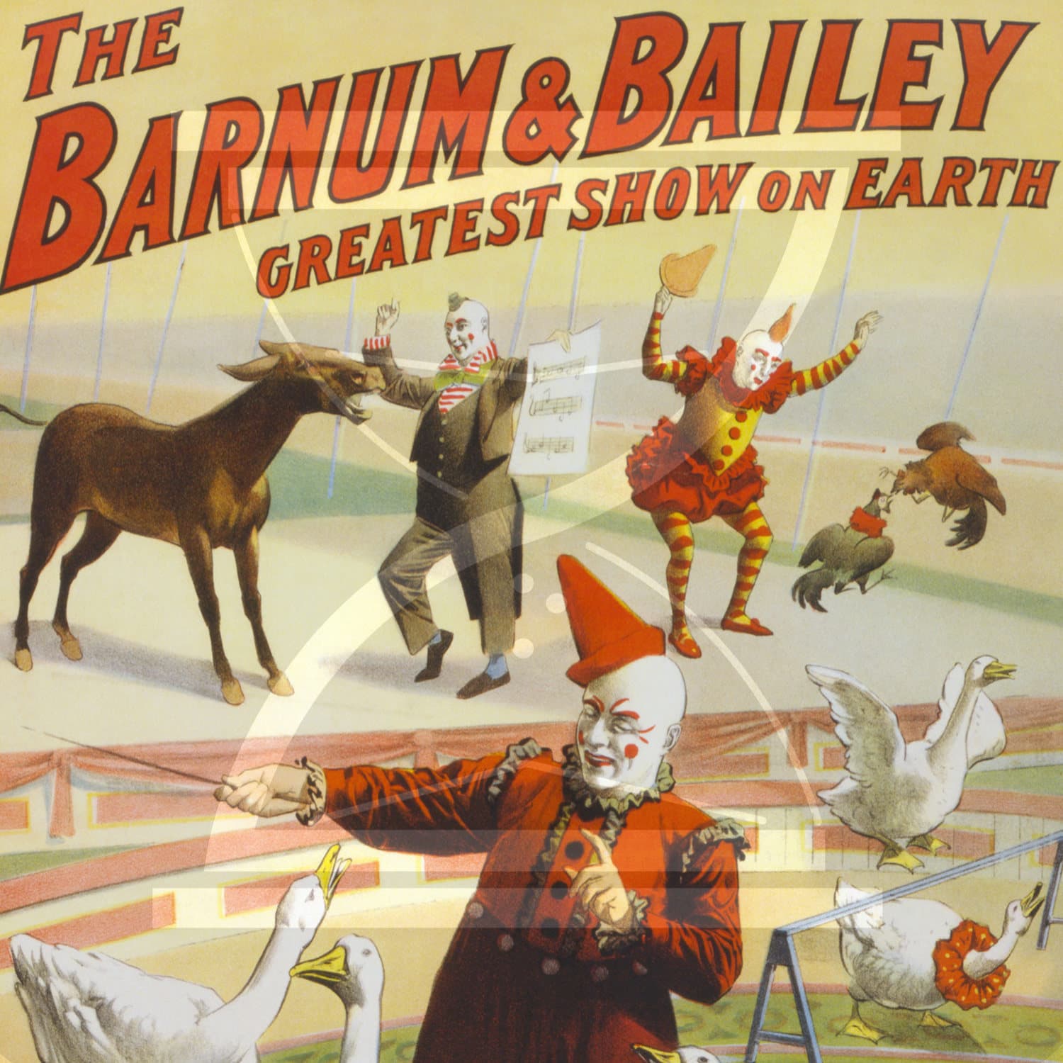 Geschichten aus der Geschichte podcast cover art