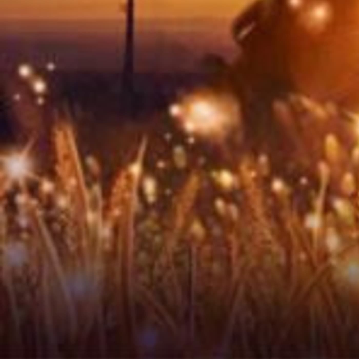 Drift Into Dreams A Closing Blessing Elevated Open podcast cover art