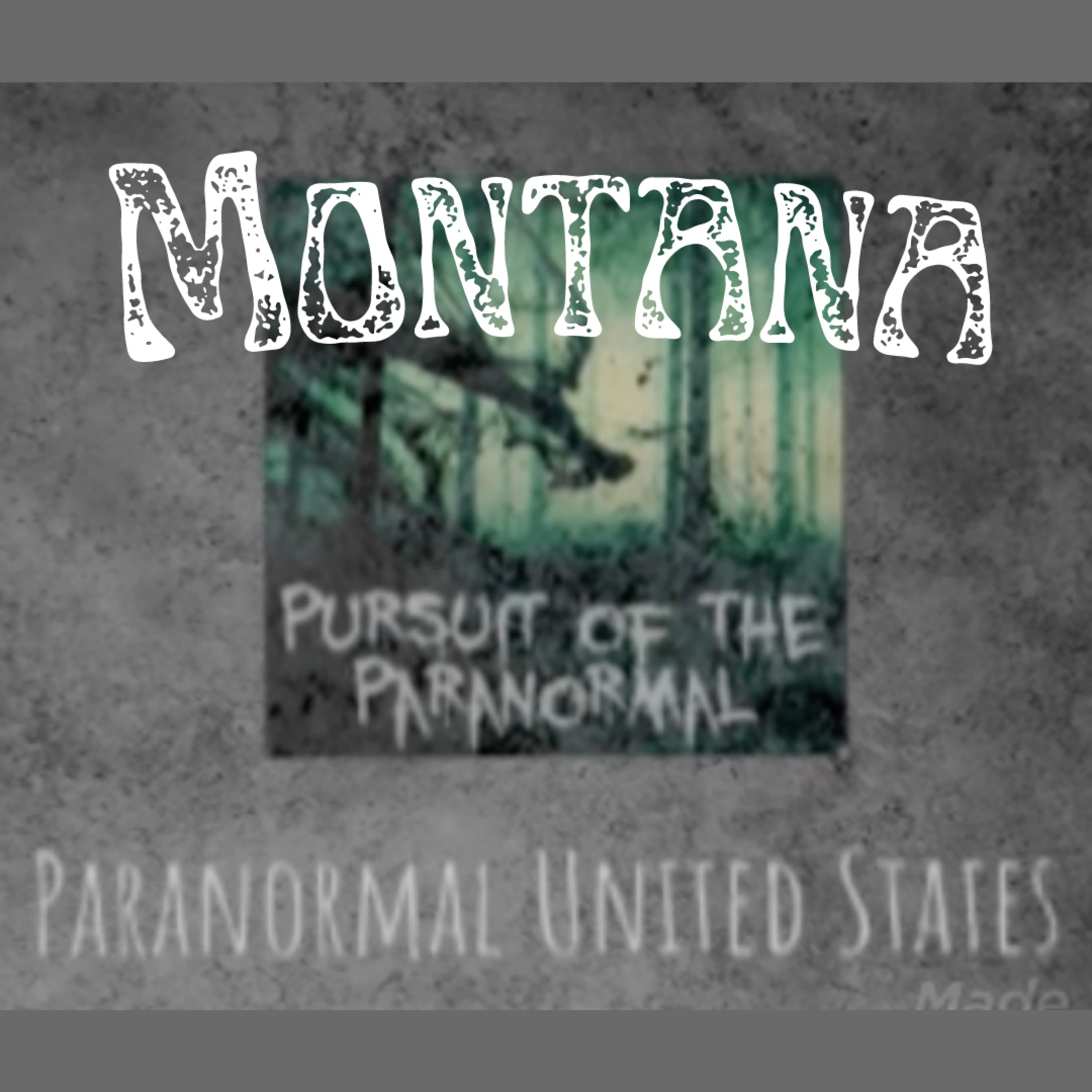 Pursuit of the Paranormal podcast cover art