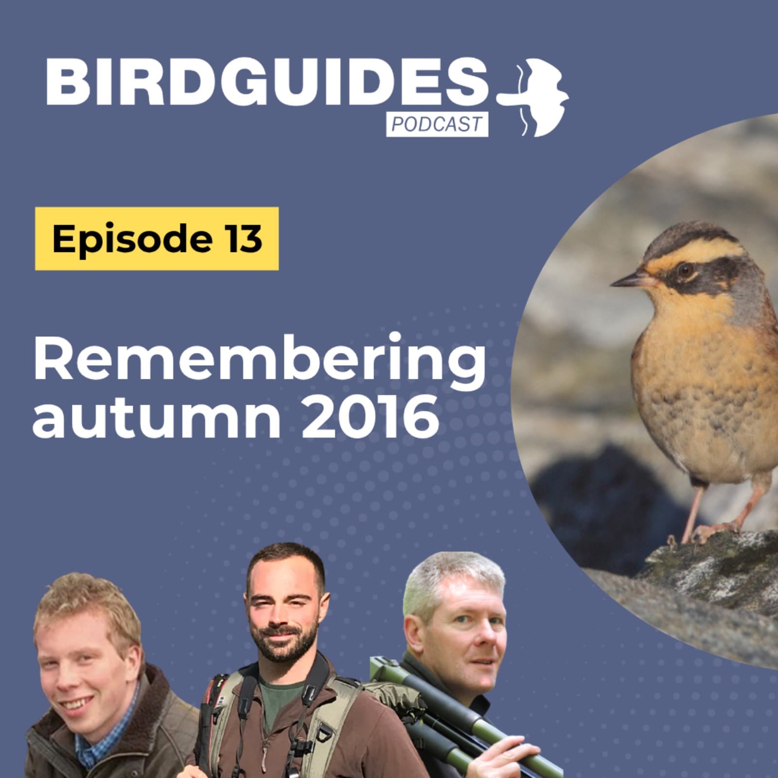 The BirdGuides Podcast cover art