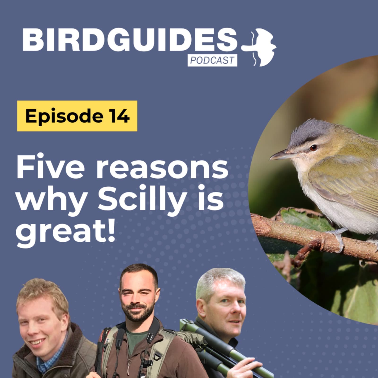 The BirdGuides Podcast cover art