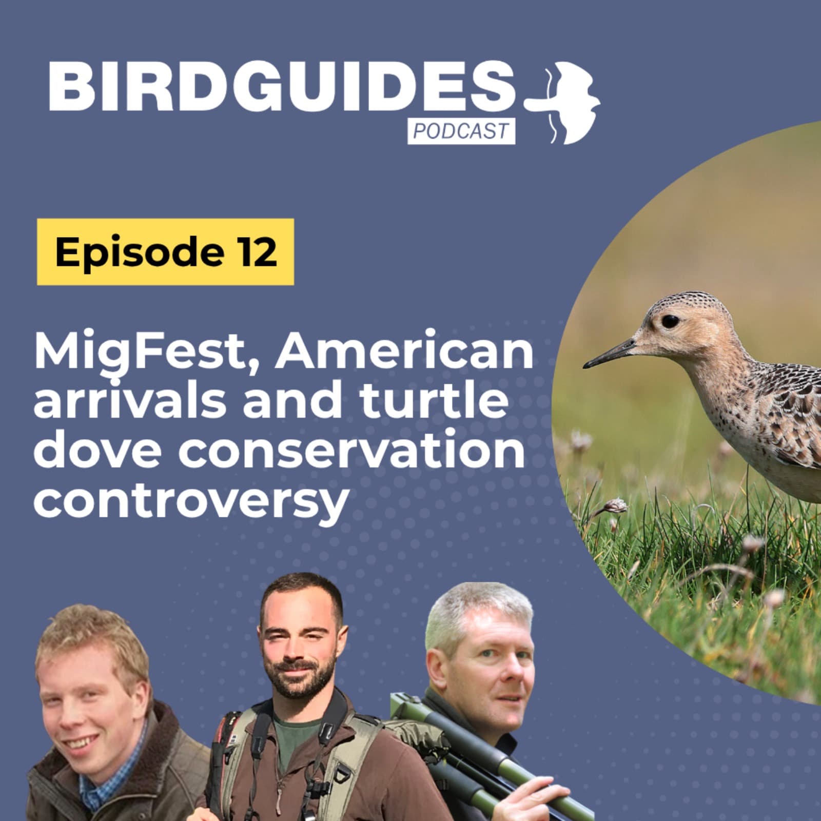The BirdGuides Podcast cover art