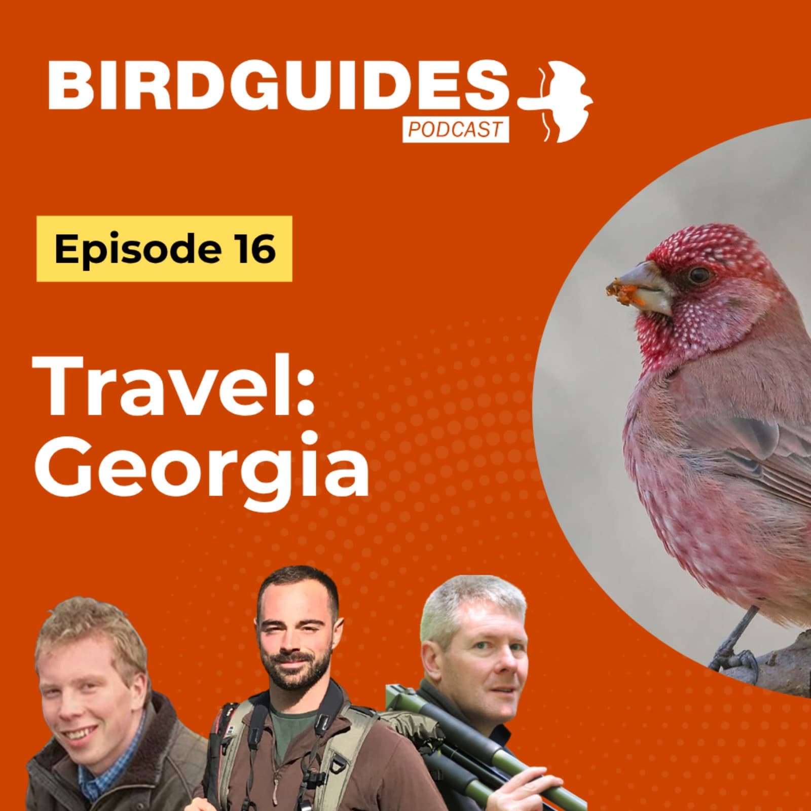 The BirdGuides Podcast cover art
