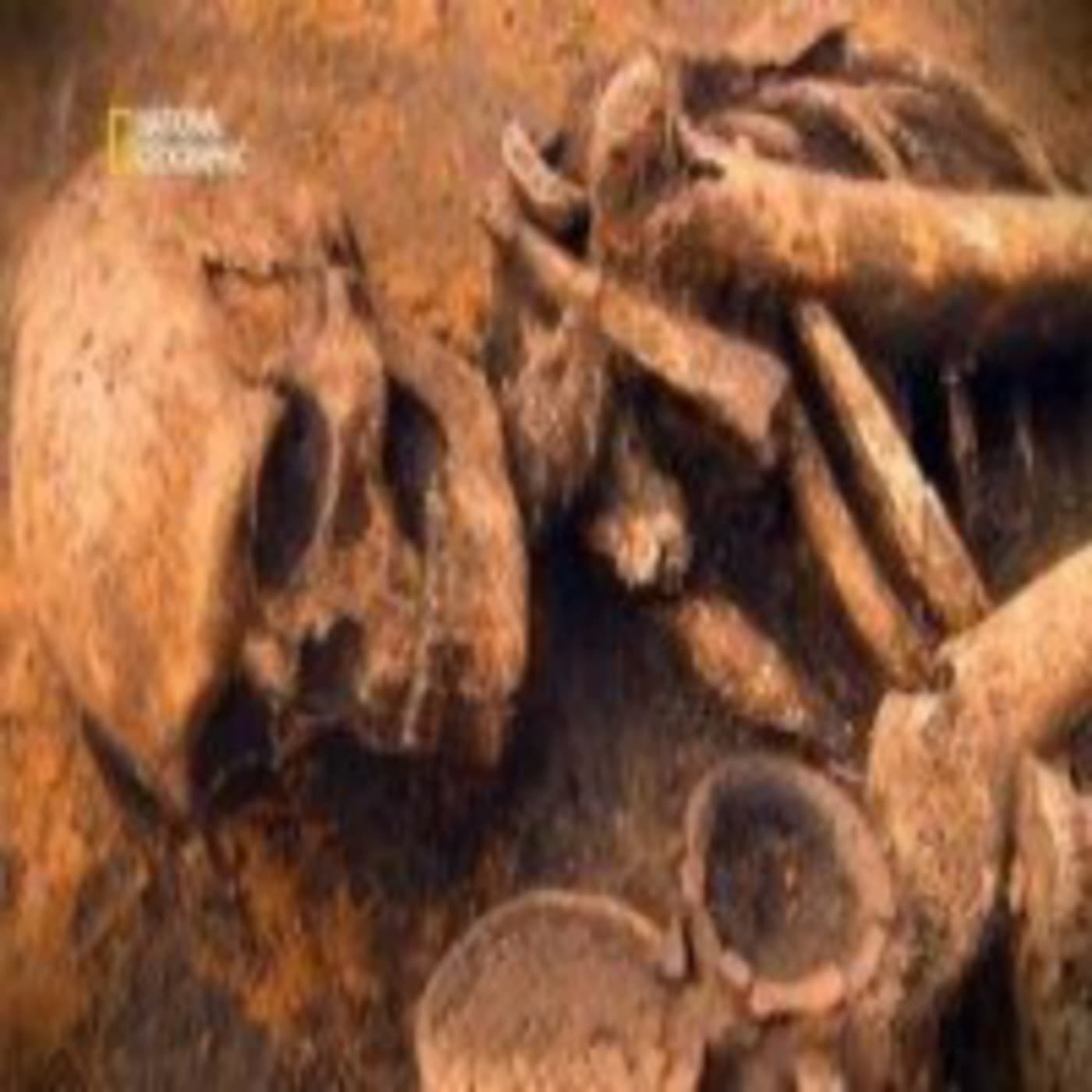 Documentales Sonoros podcast cover art