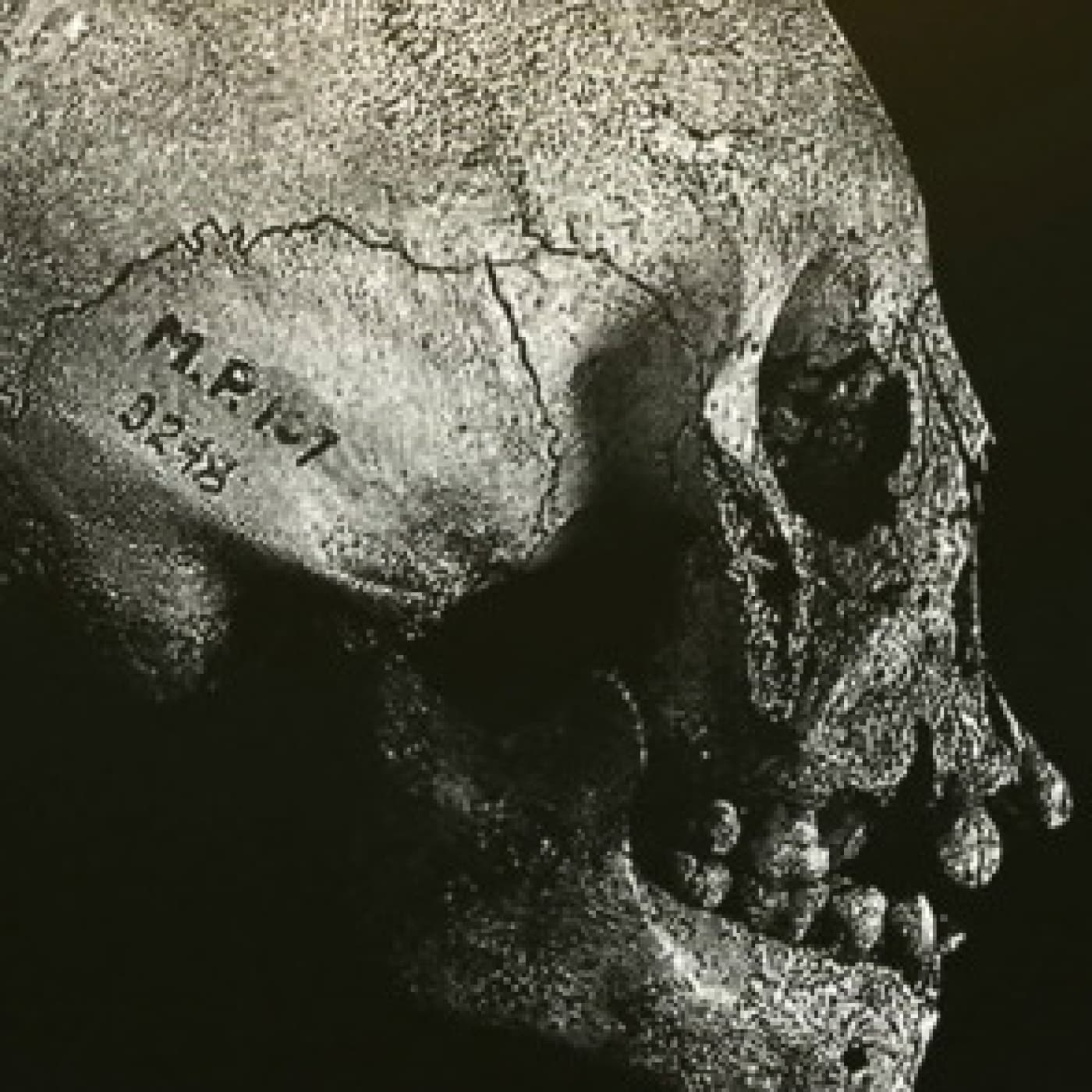 Documentales Sonoros podcast cover art