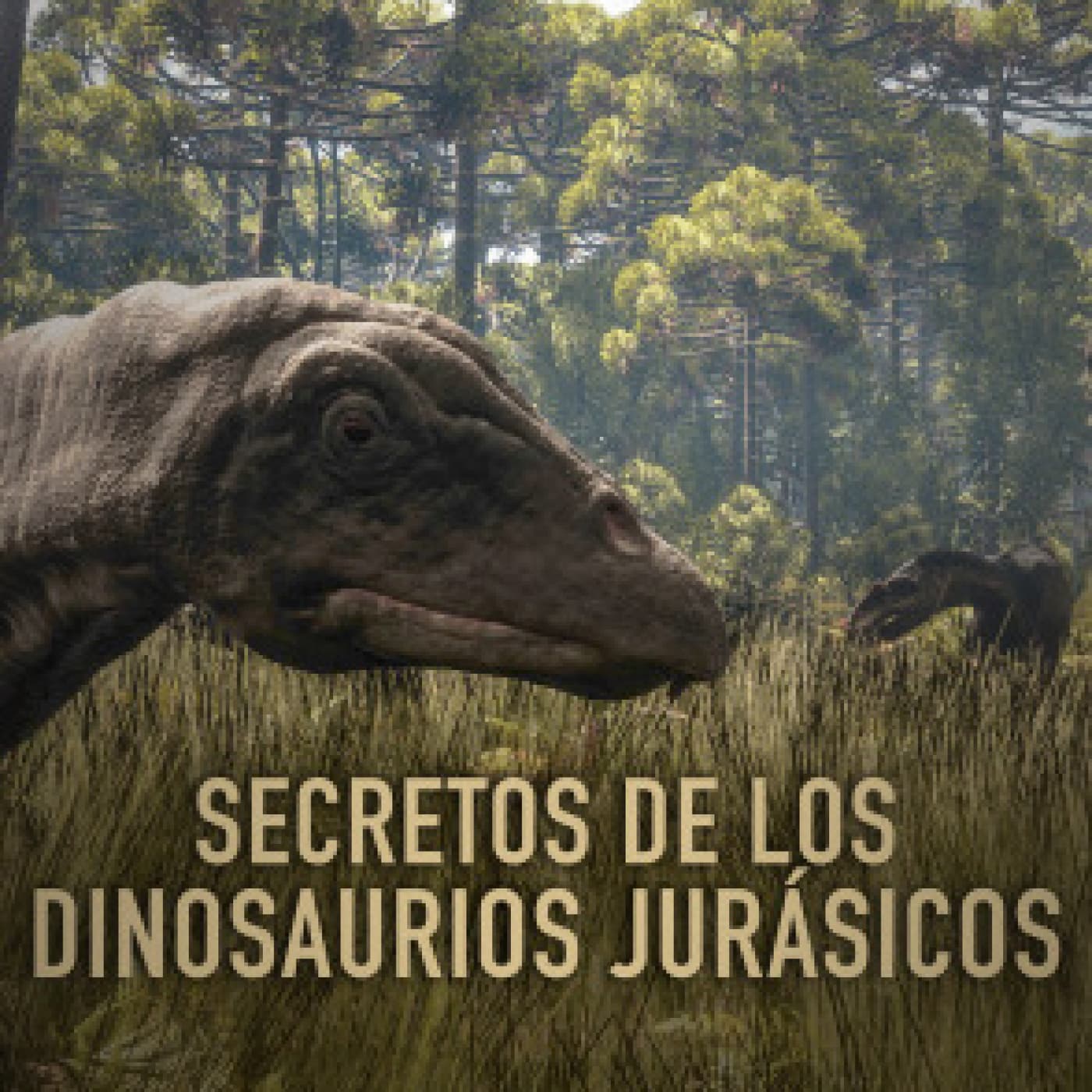 Documentales Sonoros podcast cover art