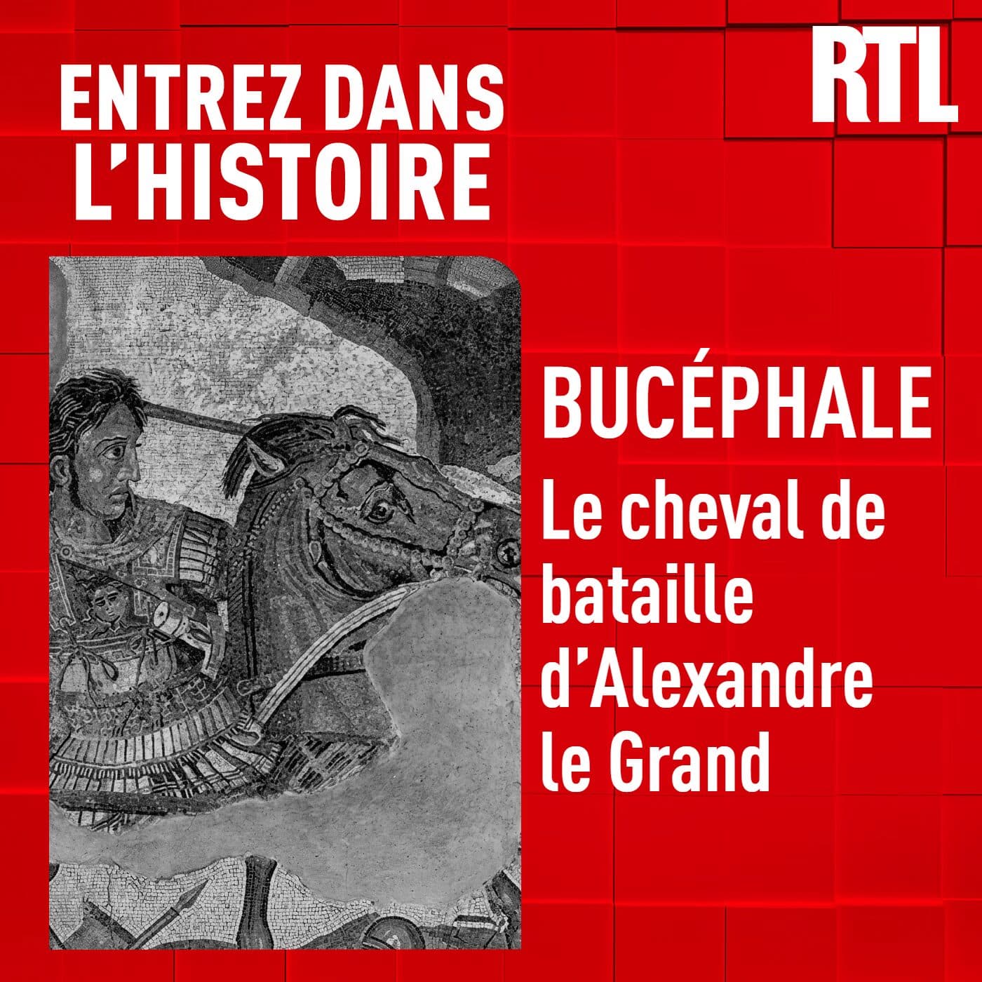 Entrez dans l'Histoire podcast cover art