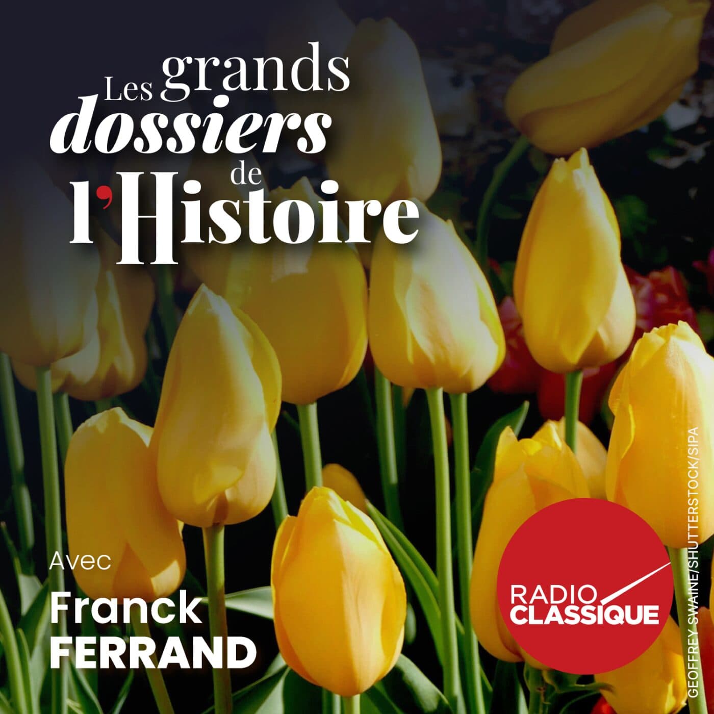 Les grands dossiers de l'Histoire par Franck Ferrand podcast cover art