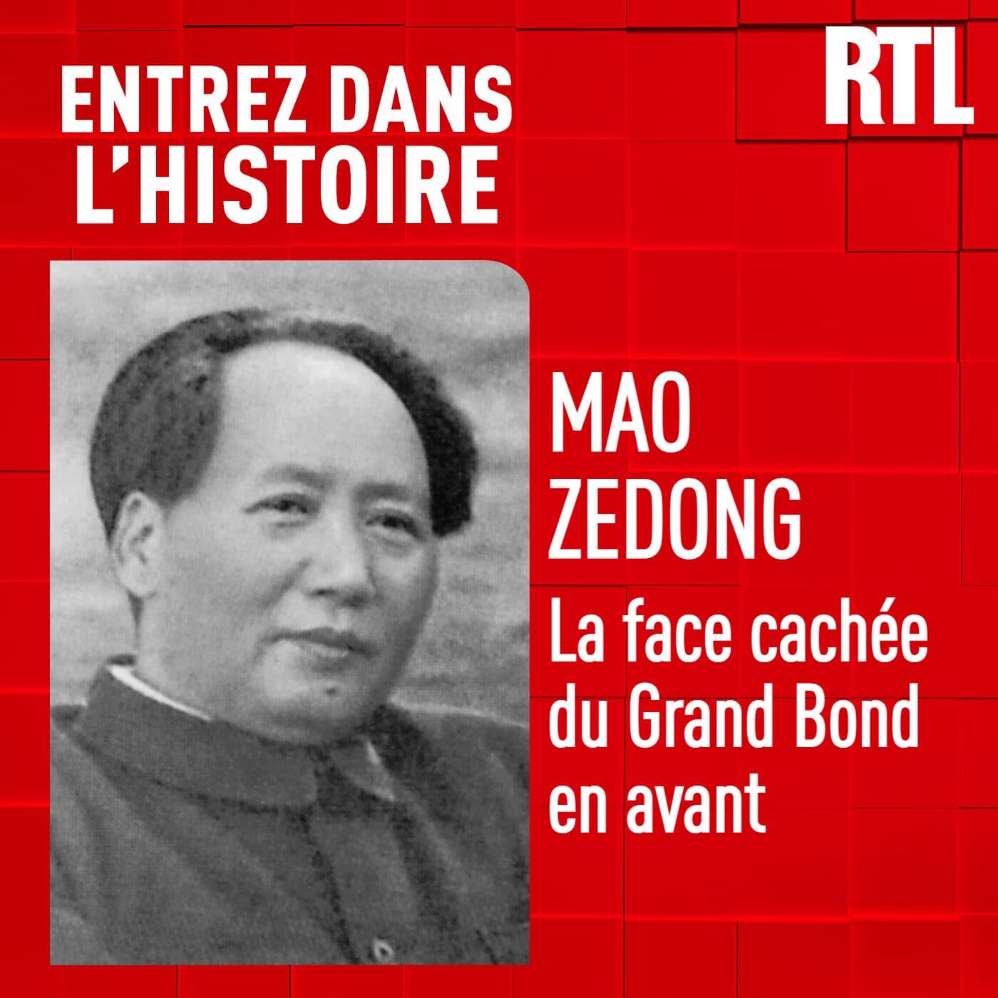 Entrez dans l'Histoire podcast cover art