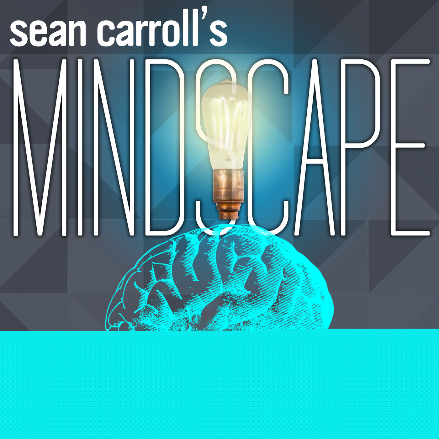Sean Carroll's Mindscape: Science, Society, Philosophy, Culture, Arts, and Ideas podcast cover art