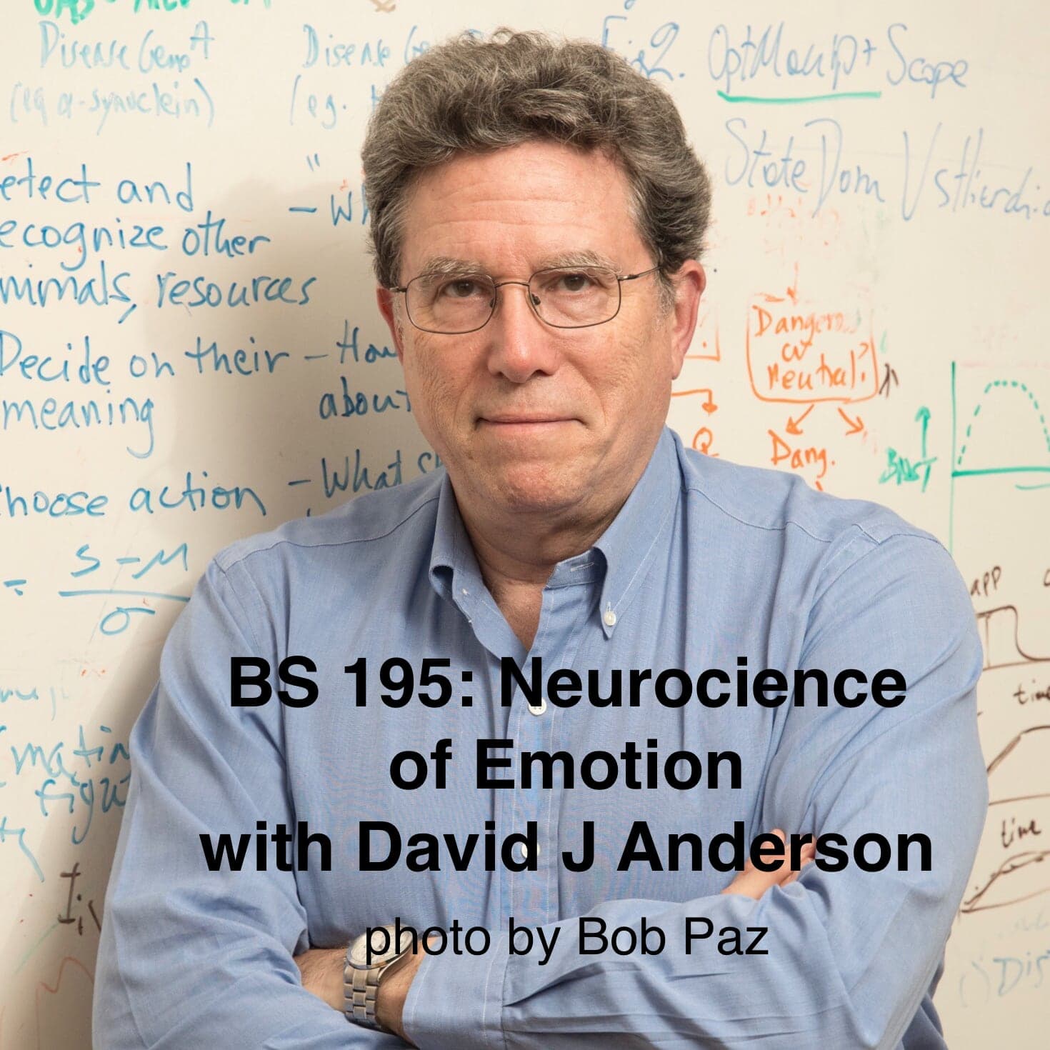Brain Science with Ginger Campbell, MD: Neuroscience for Everyone podcast cover art