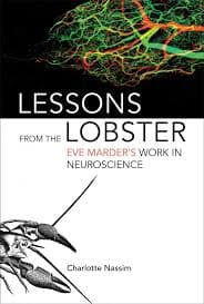 Brain Science with Ginger Campbell, MD: Neuroscience for Everyone podcast cover art